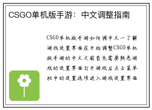 CSGO单机版手游：中文调整指南